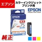 EPSON インクカートリッジ IC75