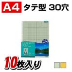 クリヤーブック替紙 A4 30穴・2穴 1パック10枚入 コクヨ/EC-LA-380
