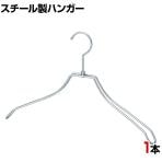 スチール製ハンガー 1本 衣料品用ハンガー 洋服用ハンガー 湾曲 幅380mm シンプル 洋服掛け ディスプレイ 業務用 新生活 クローゼット収納 クローム