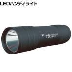 STS 高性能マイクロLEDライト PG-700 PG700