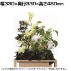 Work Plus WITH ARTIFICIAL アモイ フェイクグリーン グリーンスタンド オフィスインテリア BOXプランター 観葉植物 幅330×奥行330×高さ480mm WorkPlus