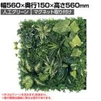 ベルク フェイクグリーン ウォールグリーン マグネットグリーン マットパネルタイプ50角 人工 造花 GR1249 幅560×奥行150×高さ560mm