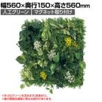 ベルク フェイクグリーン ウォールグリーン マグネットグリーン マットパネルタイプ50角 人工 造花 GR1250 幅560×奥行150×高さ560mm