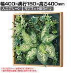 ベルク フェイクグリーン ウォールグリーン マグネットグリーン 木枠フレームタイプ 35角 人工 造花 GR1254 幅400×奥行150×高さ400mm