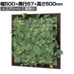 ベルク ウォールグリーン グリーンパネル フェイクグリーン 壁掛け 木目フレーム 人工 造花 GR3347 幅500×奥行67×高さ500mm