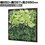 ベルク ウォールグリーン グリーンパネル フェイクグリーン 壁掛け 木目フレーム 人工 造花 GR3353 幅650×奥行67×高さ650mm