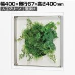 ベルク ウォールグリーン アートグリーン フェイクグリーン 壁掛け 立体グリーン 人工 造花 GR3437 幅400×奥行67×高さ400mm