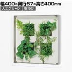 ベルク ウォールグリーン アートグリーン フェイクグリーン 壁掛け 立体グリーン 人工 造花 GR3439 幅400×奥行67×高さ400mm