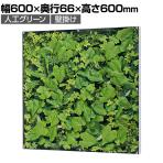 ベルク ウォールグリーン グリーンパネル フェイクグリーン 壁掛け 人工 造花 GR3568 幅600×奥行66×高さ600mm