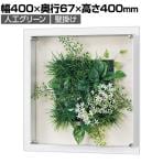 ベルク ウォールグリーン アートグリーン フェイクグリーン 壁掛け 立体グリーン 人工 造花 GR3710 幅400×奥行67×高さ400mm