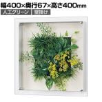 ベルク ウォールグリーン アートグリーン フェイクグリーン 壁掛け 立体グリーン 人工 造花 GR3711 幅400×奥行67×高さ400mm