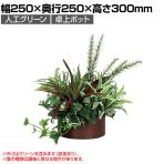 ベルク フェイクグリーン インテリアグリーン 観葉植物 人工 卓上ポット GR4275