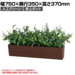 ベルク フェイクグリーン インテリアグリーン 観葉植物 人工 卓上ポット GR4304