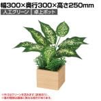 ベルク  フェイクグリーン インテリアグリーン 観葉植物 人工 卓上ミニポット GR4382