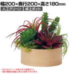 ベルク フェイクグリーン インテリアグリーン 卓上ポット 卓上間仕切りポット 観葉植物 人工 造花 GR4486