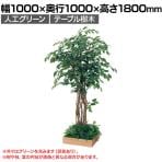 ベルク 土台プランター 450角 フィカスベンジャミン 国産 テーブル樹木 人工観葉植物 フェイクグリーン GR5123 幅1000×奥行1000×高さ1800mm オフィス 休憩室