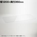 エレクター(ERECTA) ワイヤーシェルフ用アクリル板 ワイヤーシェルフ幅1200×奥行350mm用 B1448AB1