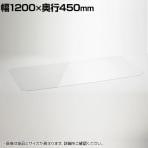エレクター(ERECTA) ワイヤーシェルフ用アクリル板 ワイヤーシェルフ幅1200×奥行450mm用 B1848AB1