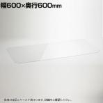 エレクター(ERECTA) ワイヤーシェルフ用アクリル板 ワイヤーシェルフ幅600×奥行600mm用 B2424AB1