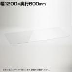 エレクター(ERECTA) ワイヤーシェルフ用アクリル板 ワイヤーシェルフ幅1200×奥行600mm用 B2448AB1