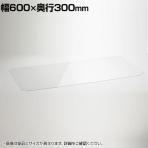 エレクター(ERECTA) ワイヤーシェルフ用アクリル板 ワイヤーシェルフ幅600×奥行300mm用 B1224AB1