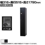 1人用 スチールロッカー スリム 鍵付き ダイヤル錠 スチール スタンダード 業務用 幅316×奥行515×高さ1790mm 【国産】 【完成品】 / TLK-D1SN