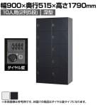 スチールロッカー 深型 10人用 鍵付き ダイヤル錠 スチール スタンダード 業務用 幅900×奥行515×高さ1790mm 【国産】 【完成品】 / TLK-DC10