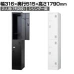 2人用 スチールロッカー 1列2段 スタンダードロッカー 鍵付き シリンダー錠 幅316×奥行515×高さ1790mm【国産】【完成品】/TLK-S2S パーソナルロッカー 個人ロッカー 更衣室ロッカー ホワイト ブラック