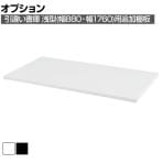 [オプション]スチール書庫 TSシリーズ A4シリーズ オープン書庫・引違い書庫 浅型(幅880・幅1760)用追加棚板 幅856×奥行317×高さ20mm 国産 TT-33