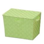 アイリスオーヤマ CBボックス用 縦置き用 カラーバスケット フタ付 CBK-38DT 幅380×奥行260×高さ260mm