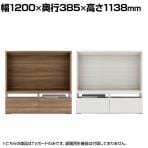 フナモコ システム収納 リビングシェルフ TVボード 幅1200×奥行385×高さ1138mm