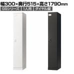 ロッカー スチールロッカー 1人用 1列1段 GSシリーズ  スリム 鍵付き ダイヤル錠 個人ロッカー 更衣ロッカー シューズロッカー オフィス ネームプレート 鏡 幅300×奥行515×高さ1790mm