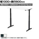 オカムラ スイフトネックス Swift Nex 昇降デスク 平机 スタンダードストローク スクエアエッジ ホワイト天板 3420CF 幅1000×奥行800×高さ650～1250mm 電動昇降デスク スタンディングデスク パソコンデスク テレワーク 昇降テーブル