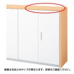 L6 ナチュラルパネル L6-NPT80-ER 幅923×奥行800×高さ30mm