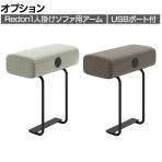 [オプション]Redon レドン プラス(PLUS) 1人掛けソファ用アーム 肘掛け アームレスト USBポート 接続端子USB Type-A 2ポート 幅250×奥行480×高さ516mm WGBR