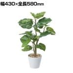ポピー 観葉植物 ウンベラータポット フェイクグリーン GLA-1440GR