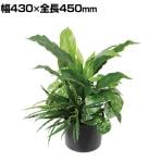 ポピー 観葉植物 人工樹木 スパティフィラムミックスグリーンポット 卓上グリーンポット 幅430×全長450mm フェイクグリーン 葉 造花 インテリア オフィス