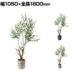 ポピー 観葉植物 人工樹木 オリーブ 日本製 国産 幅1050×全長1800mm フェイクグリーン 葉 造花 インテリア オフィス おしゃれ