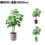 ポピー 観葉植物 人工樹木 ウンベラータ 日本製 国産 幅900×全長1200mm フェイクグリーン 葉 造花 インテリア オフィス おしゃれ