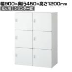 クウォール 6人用 2列3段 パーソナルボックス シリンダー錠 鍵付き ホワイト ミニロッカー 幅900×奥行450×高さ1200mm パーソナルロッカー 個人ロッカー RW45-612H-S2 【国産】 【完成品】