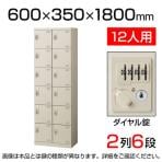 【国産】【完成品】スチール製 シューズボックス・靴箱・下駄箱 2列6段12人用 ダイヤル錠/SLB-212-D2