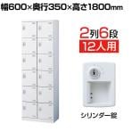 【国産】【完成品】スチール製 シューズボックス・靴箱・下駄箱 2列6段12人用 錠付/SLBW-212-S2