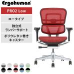 エルゴヒューマン プロ2 Ergohuman PRO2 新基盤 ロータイプ 高機能 メッシュチェア オフィスチェア デスクチェア ワークチェア 在宅ワーク 椅子 独立ランバーサポート EHP2-LAM-DR