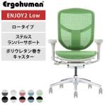 エルゴヒューマン エンジョイ2 Ergohuman ENJOY2 ロータイプ 高機能 メッシュチェア オフィスチェア デスクチェア ワークチェア 在宅ワーク 椅子 ステルスランバーサポート EJ2-LAM
