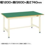 サカエ 中量作業台KTタイプ 幅1200×奥行600×高さ740mm KT-483FENI