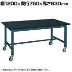 サカエ 中量作業台KTタイプ 移動式 幅1200×奥行750×高さ830mm KT-493CHCBD