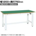 サカエ 電動昇降作業台 重量タイプ 幅1200×奥行750×高さ630～1280mm DKN-127FEW