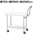 サカエ CSパールワゴン 軽量 天板付き ハイタイプ取手 幅750×奥行500×高さ620mm CSP-7561LVHTW