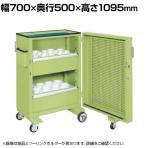 サカエ ツーリングキャビネットワゴン スイングドア付き 幅700×奥行500×高さ1095mm TLC-F2GCA