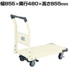 サカエ 特製四輪車 300kgタイプ フットブレーキ付き 幅855×奥行480×高さ855mm TAN-22BRI